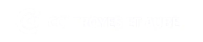logo_CCI-troyes-aube-blanc